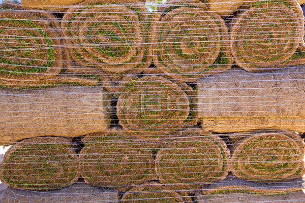 Natural grass turf lawn in rolls stacked Stock photo © lunamarina
