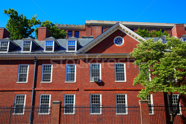 üniversite cambridge Massachusetts ABD seyahat bilim Stok fotoğraf © lunamarina