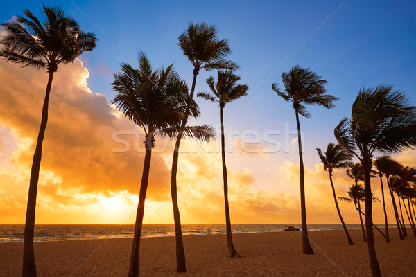 Fort lauderdale spiaggia sunrise Florida mattina USA Foto d'archivio © lunamarina