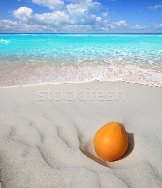 Foto d'archivio: Cocco · Caraibi · spiaggia · sabbia · bianca · maturo · arancione