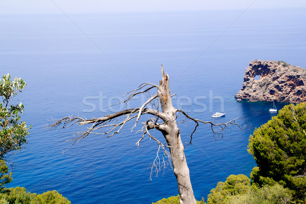 Foto stock: Mediterráneo · vista · pueden · agua · naturaleza · paisaje