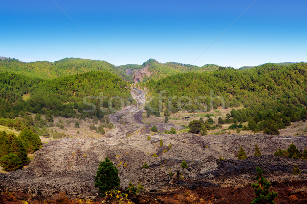 Barranco de las Angustias lava river La Palma Stock photo © lunamarina