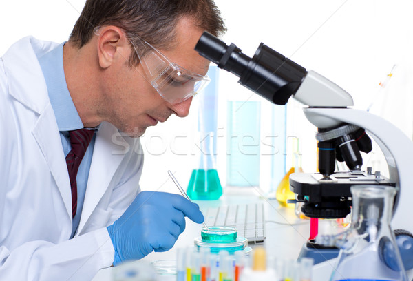Stock photo: laboratory scientist working at lab with test tubes
