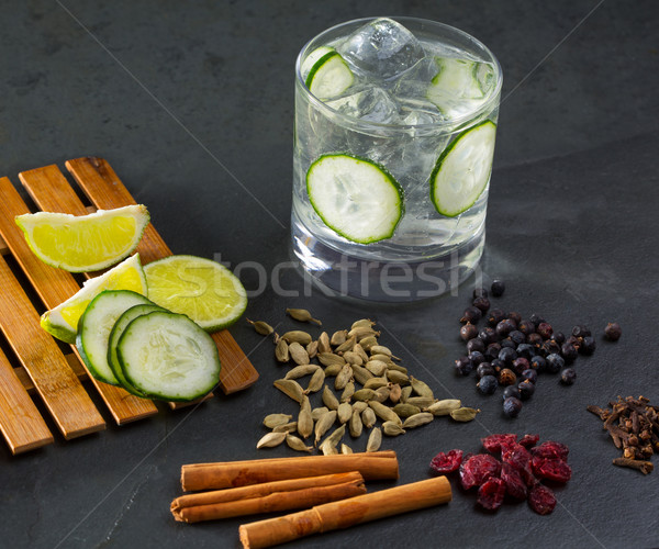 Gin tonic cocktail with cucumber cloves cardamom cinnamon and ju Stock photo © lunamarina