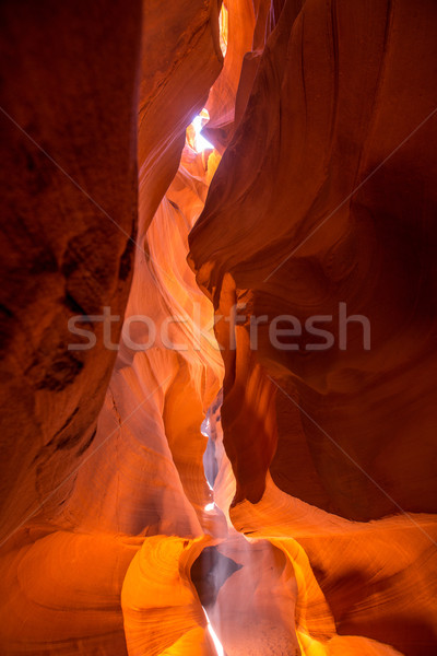 Kanyon Arizona föld oldal fény nap Stock fotó © lunamarina