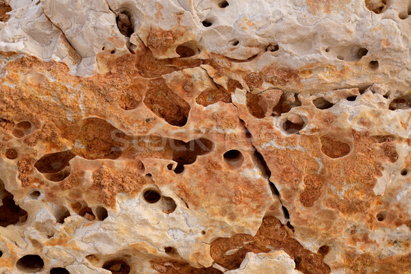 eroded weathered limestone in Mediterranean shore Stock photo © lunamarina