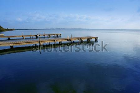 Albufera lake wetlands in Valencia Spain Stock photo © lunamarina