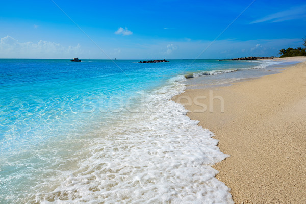 Key West beach fort Zachary Taylor Park Florida Stock photo © lunamarina
