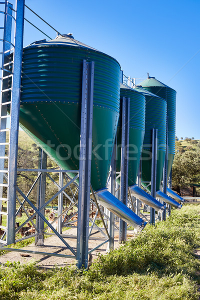 Feed hopper for livestock in green metal Stock photo © lunamarina