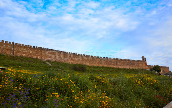 Frazione fortezza Spagna la muro natura Foto d'archivio © lunamarina