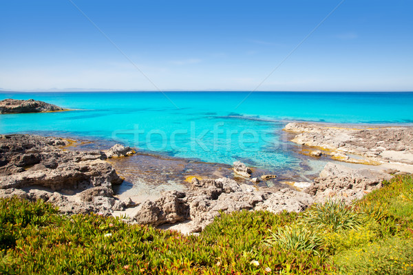 Balearic Formentera island in Escalo beach Stock photo © lunamarina