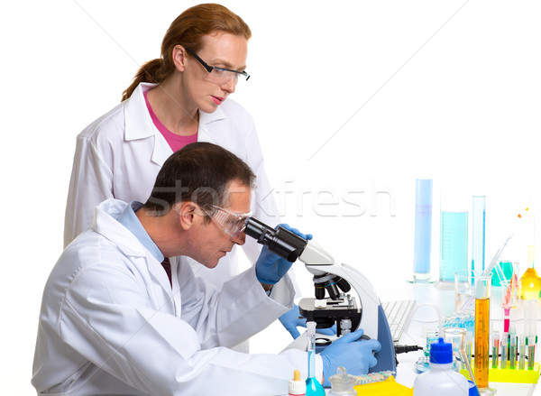 Foto stock: Químico · laboratório · dois · cientista · trabalhando · corpo