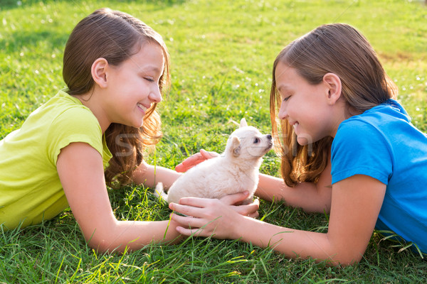 twin sister kid girls and puppy dog lying in lawn Stock photo © lunamarina