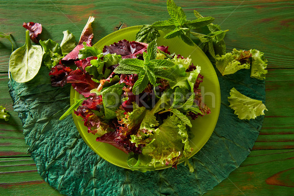 Stockfoto: Vers · groene · salade · spinazie · sla · monochroom