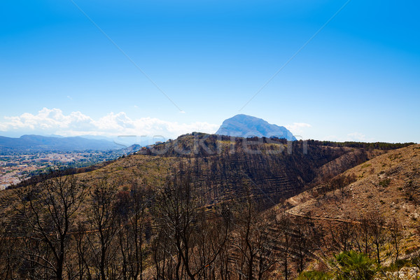 Montgo Javea Xabia burned fire trees in Alicante Stock photo © lunamarina