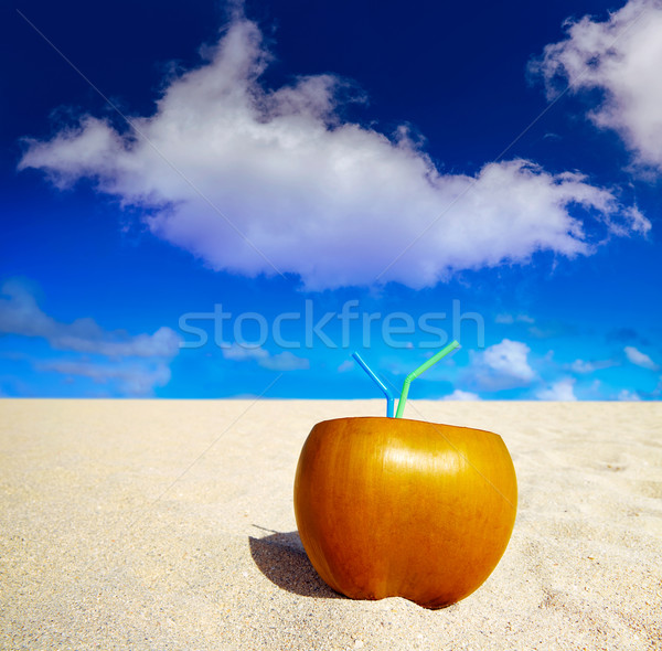 椰子 喝 熱帶海灘 天空 水 商業照片 © lunamarina