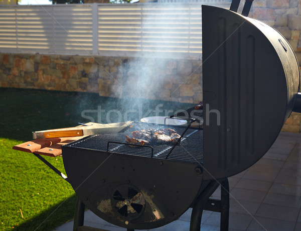 Barbecue fumée vue de côté maçonnerie gazon [[stock_photo]] © lunamarina