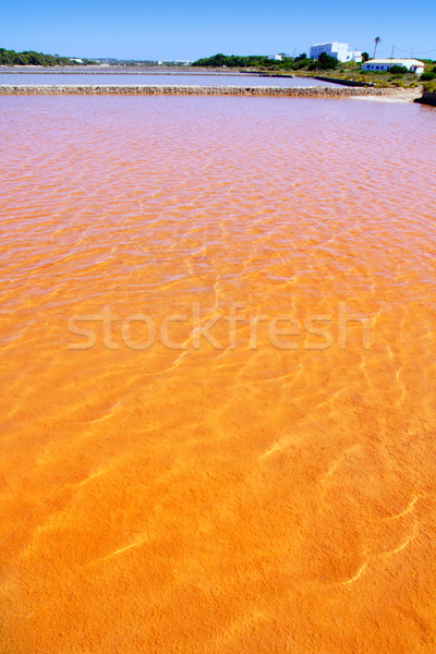 Formentera Ses Salines saltworks red water Stock photo © lunamarina