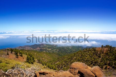 La Palma Caldera de Taburiente sea of clouds Stock photo © lunamarina
