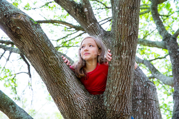 孩子 孩子 女孩 播放 攀登 樹 商業照片 © lunamarina
