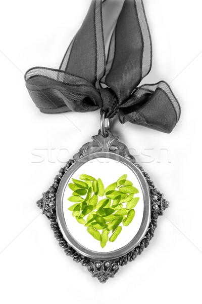 Cameo silver locket with green basil leaves heart Stock photo © lunamarina