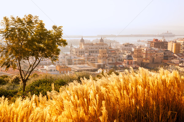 Alicante cityscape skyline in mediterranean sea Stock photo © lunamarina