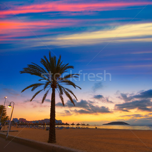 Mallorca sunrise in Magaluf Palmanova beach Stock photo © lunamarina