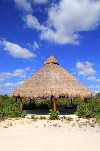 Big Palapa hut sunroof in Mexico jungle Stock photo © lunamarina
