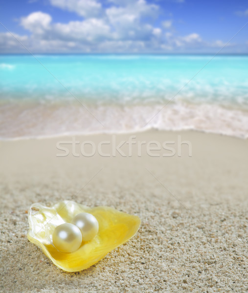 Caribbean parel shell wit zand strand tropische Stockfoto © lunamarina