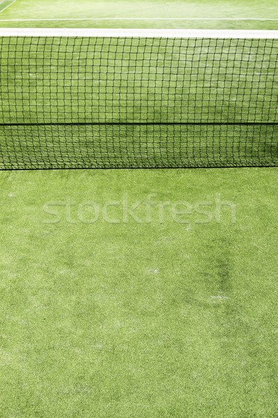 paddle tennis green grass camp field texture Stock photo © lunamarina