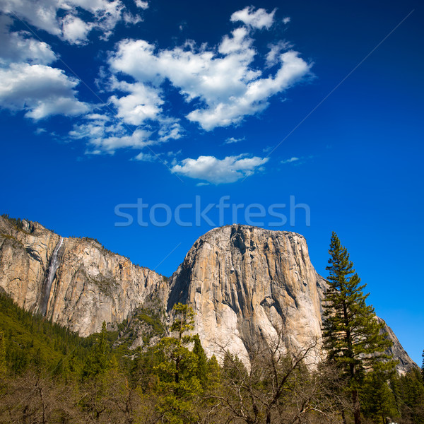 Yosemite National Park El Capitan California Stock photo © lunamarina