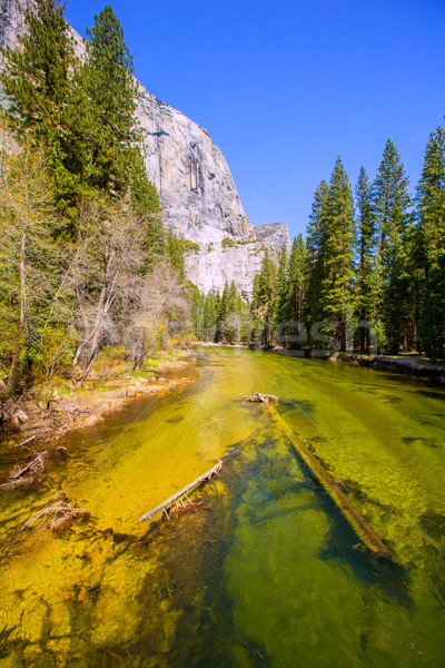 Yosemite rio Califórnia céu árvore paisagem Foto stock © lunamarina