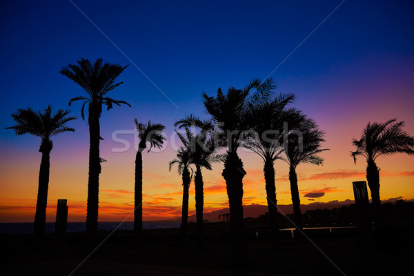 Almeria Cabo de Gata sunset in Retamar beach Stock photo © lunamarina