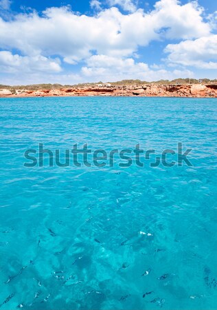 Illetes beach islands Formentera Balearic island Stock photo © lunamarina