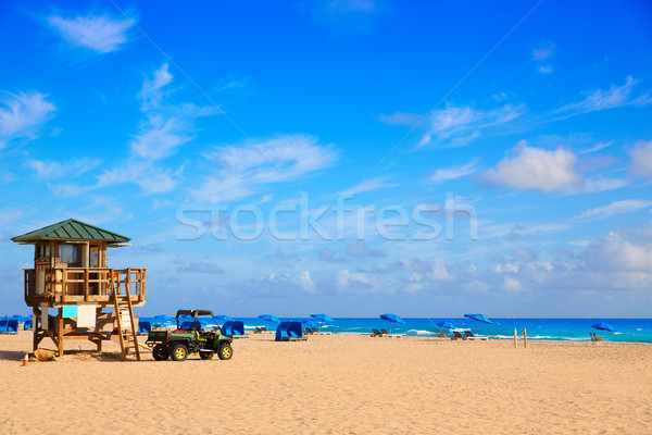 Sänger Insel Strand Palmen Florida USA Stock foto © lunamarina