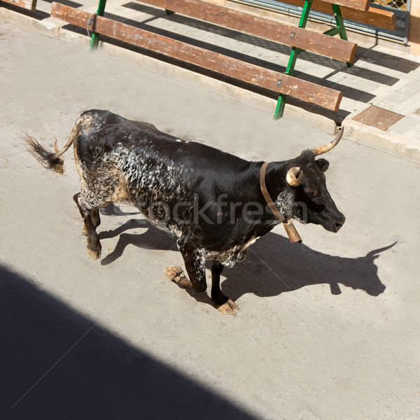 running of the bulls at street fest in Spain Stock photo © lunamarina