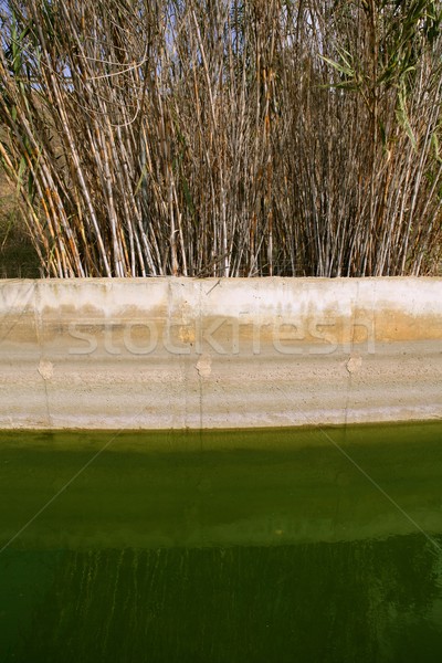 Irrigation ditch canal for agriculture Stock photo © lunamarina