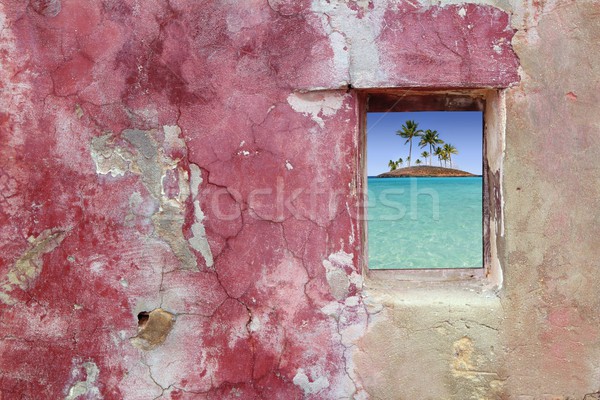 grunge pink red wall window palm trees island Stock photo © lunamarina