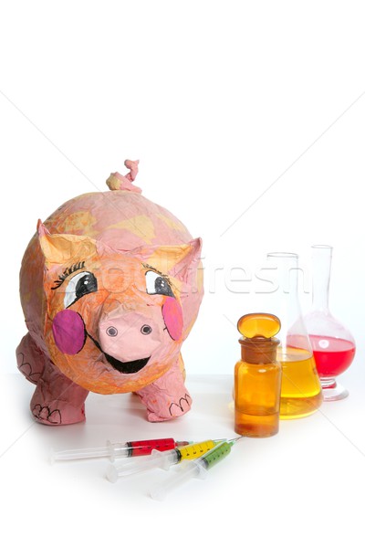 Stok fotoğraf: Güzel · küçük · pembe · domuz · tıp · domuz