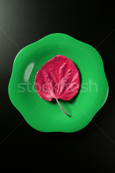 Metafora dieta sanatoasa scazut calorii vegetarian frunze Imagine de stoc © lunamarina