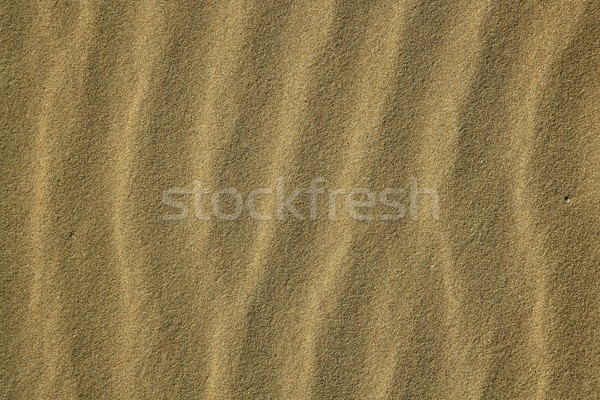 Wavy sea shore sand texture on sunshine Stock photo © lunamarina
