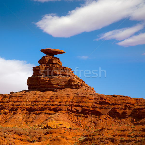 Mexican Hat  US 163 Scenic road near Monument Valley Stock photo © lunamarina