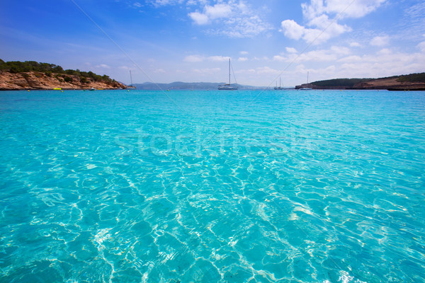 Ibiza Cala Bassa beach with turquoise Mediterranean Stock photo © lunamarina