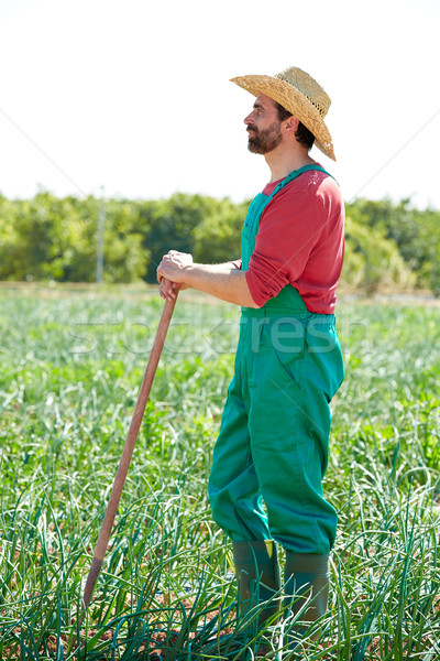 Farmer man working in onion orchard with hoe Stock photo © lunamarina