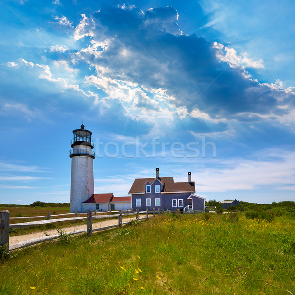 Cape Cod Truro lighthouse Massachusetts US Stock photo © lunamarina
