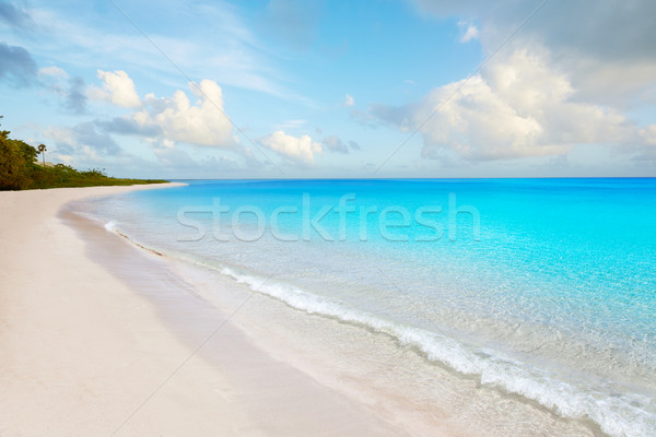 Florida Keys beach Bahia Honda Park US Stock photo © lunamarina