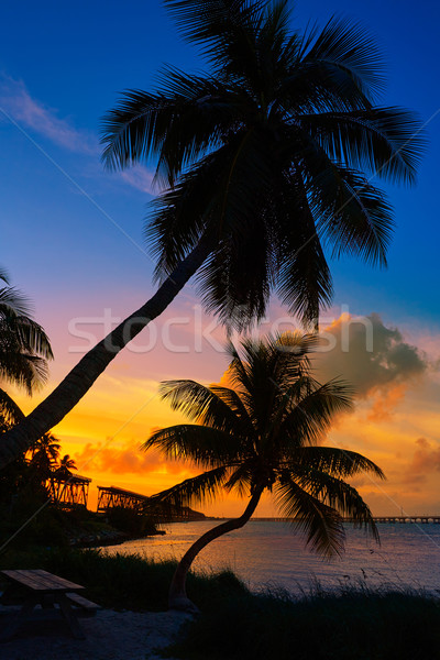 Florida Keys old bridge sunset at Bahia Honda Stock photo © lunamarina