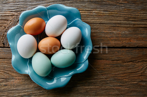 Colorful eggs in white brown and blue colors Stock photo © lunamarina