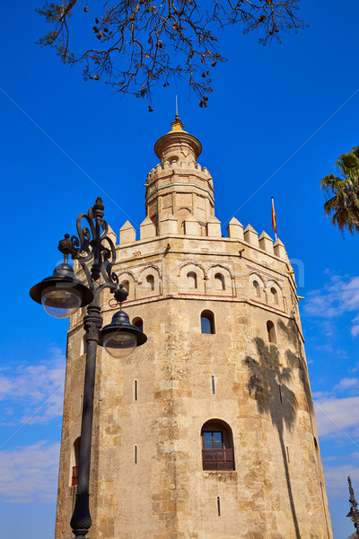 Seville Torre del Oro tower in Sevilla Spain Stock photo © lunamarina