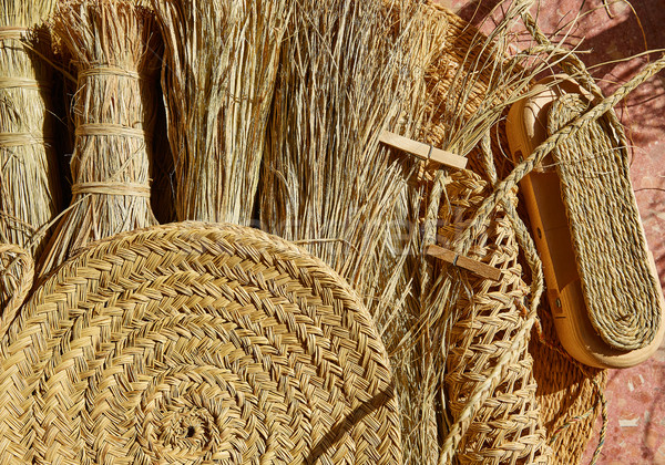Esparto halfah grass used for crafts basketry Stock photo © lunamarina